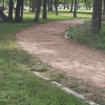 Hole 2, basket behind the center tree