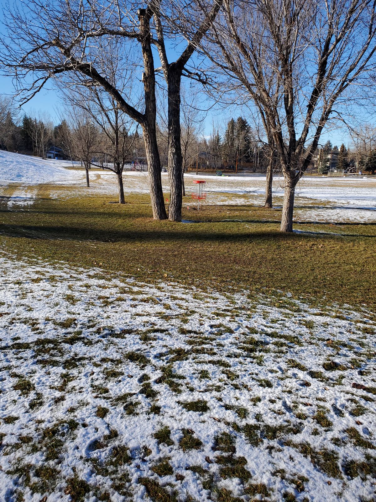 Back 9 Hole 3 / Full 18 Basket 12 once you round the corner from the tee