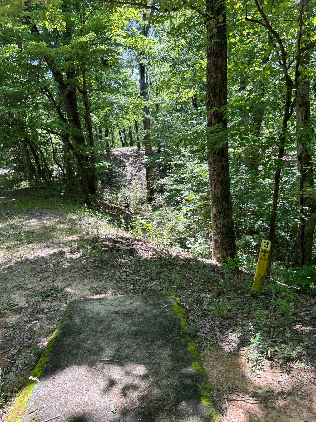 Hole #3