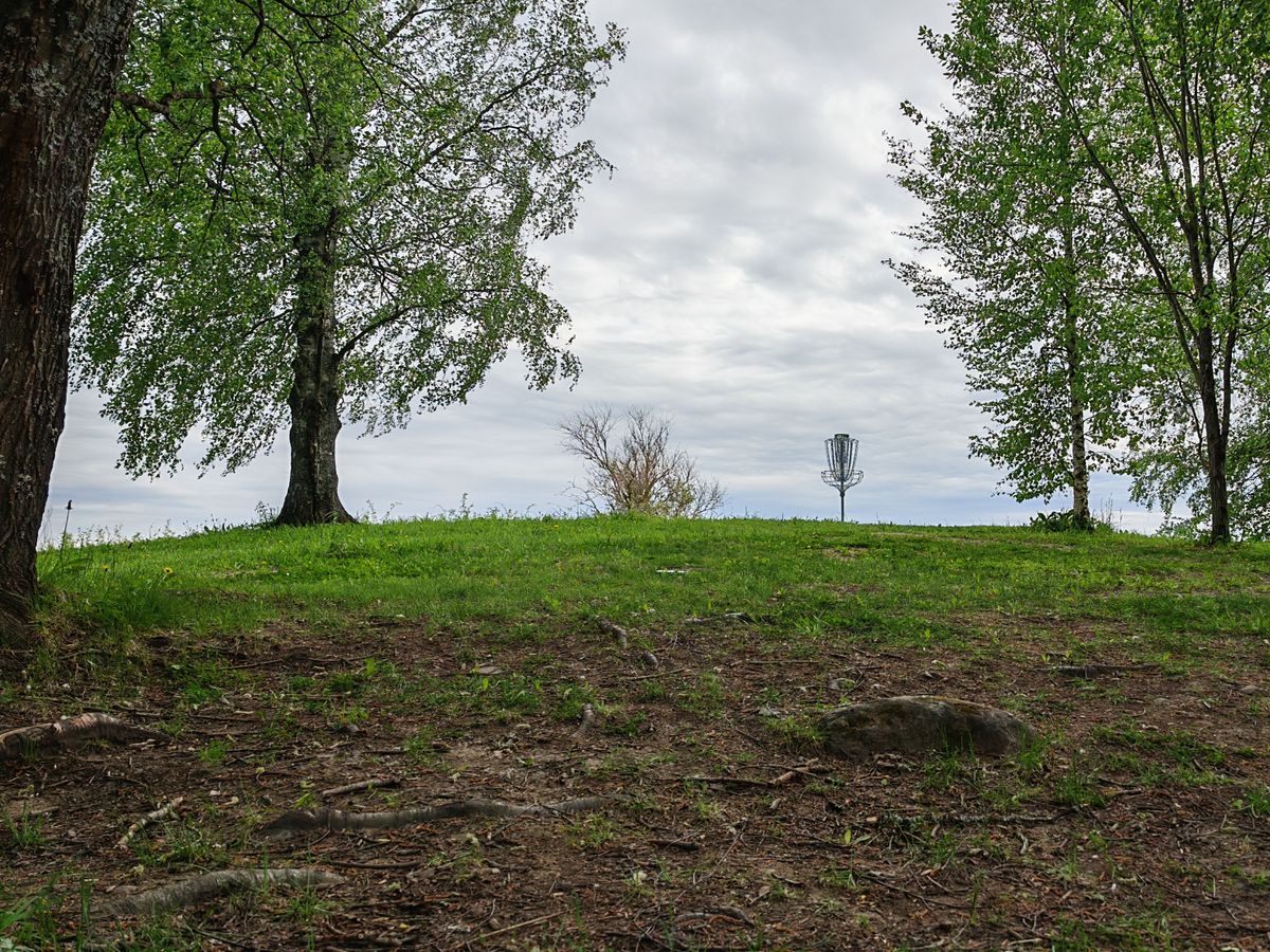 Väylä 5