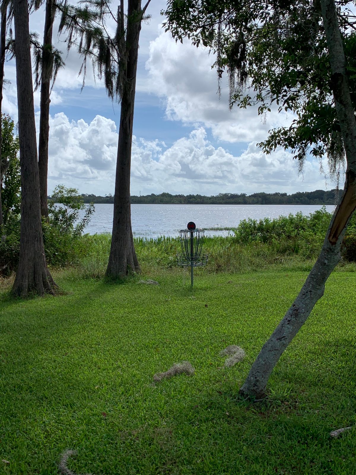 Hole 14 Basket