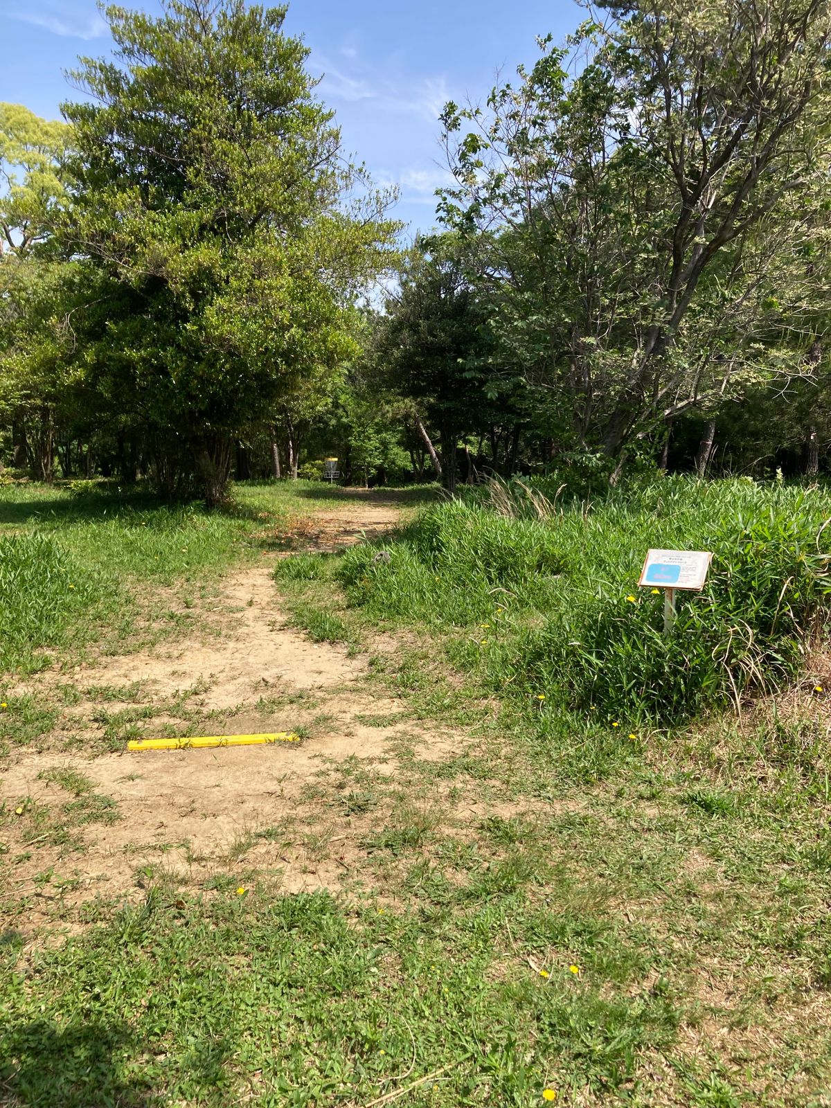 Hole 7 tee for 9 hole course