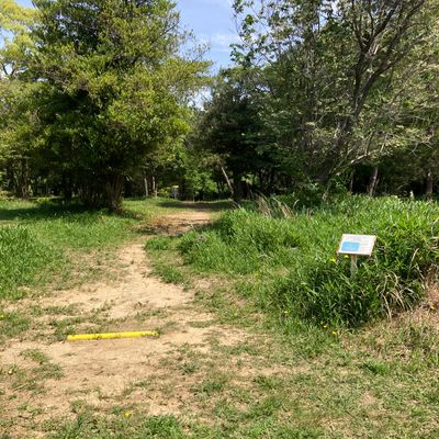 Hole 7 tee for 9 hole course
