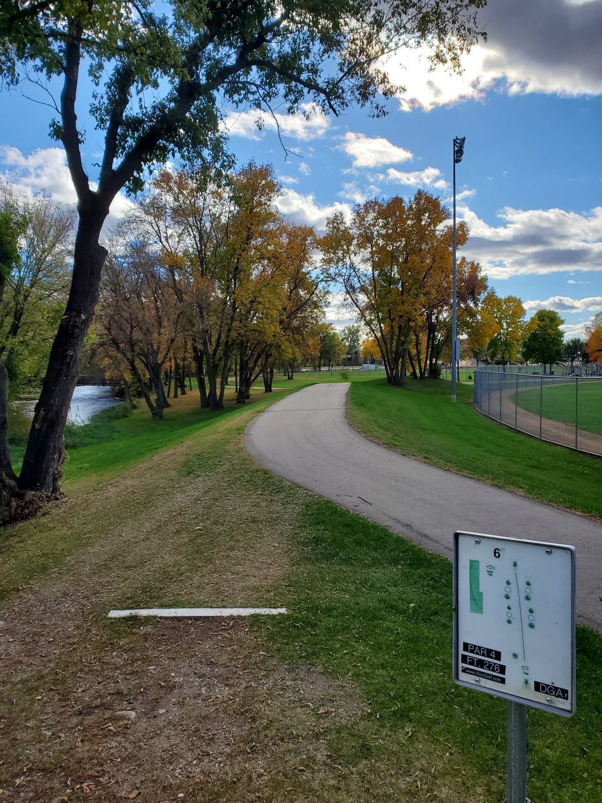 #6 Tee