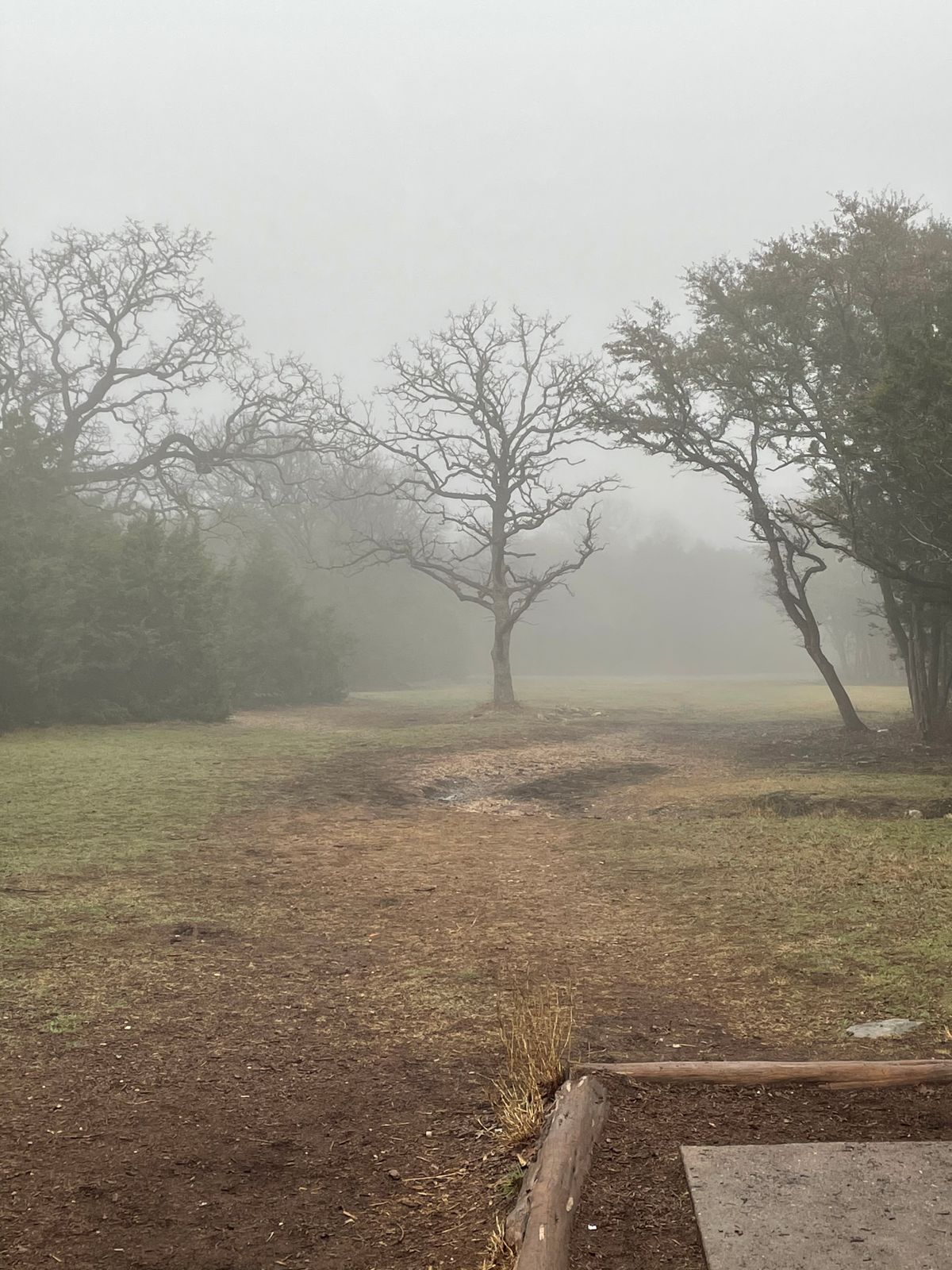 Hole 5 in the fog
