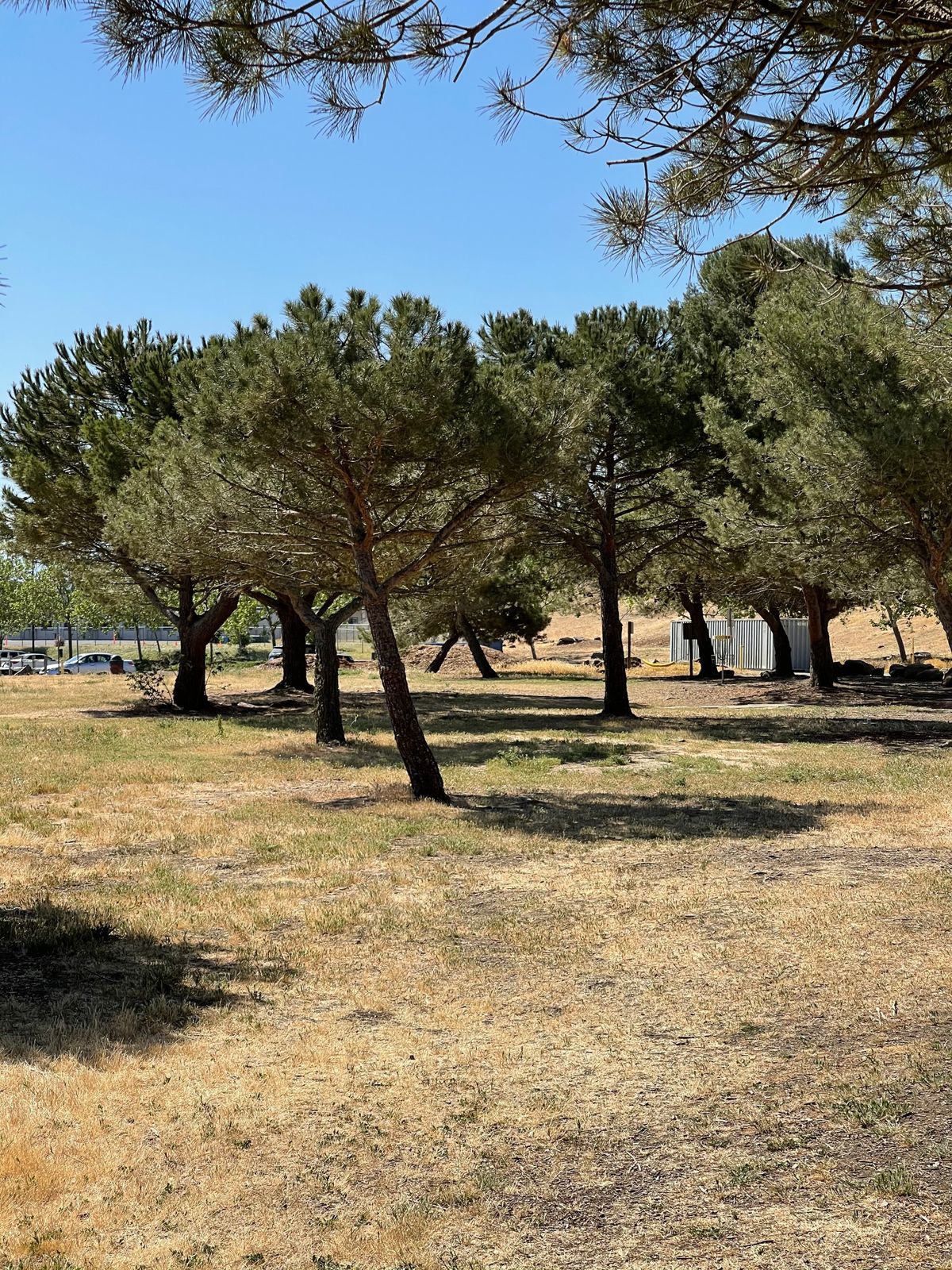 Hole 9, short tee