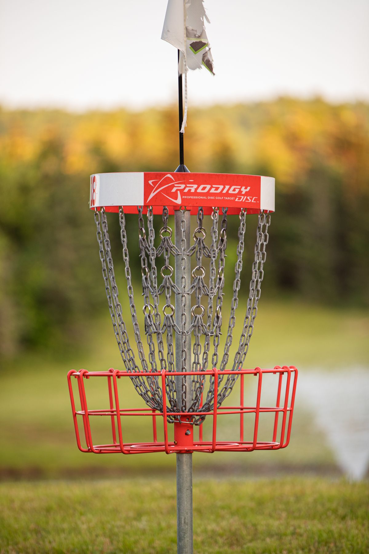 Hole 18 shorts