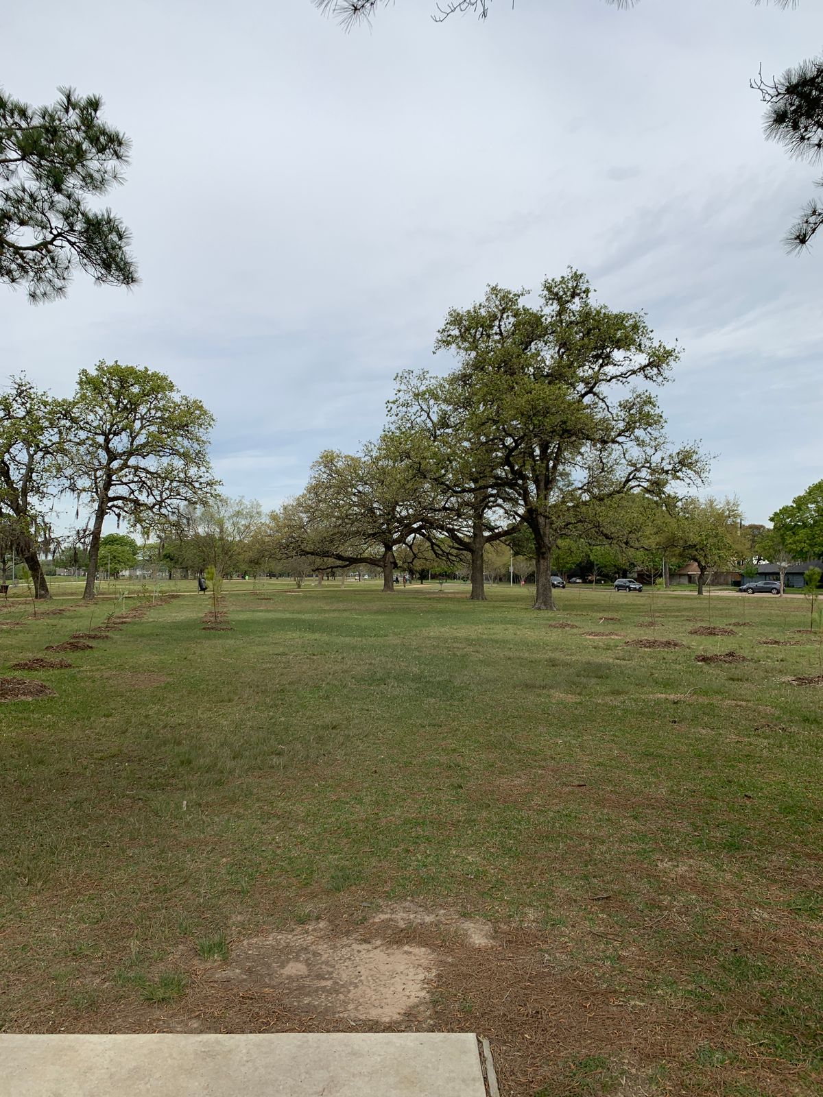 Hole 19