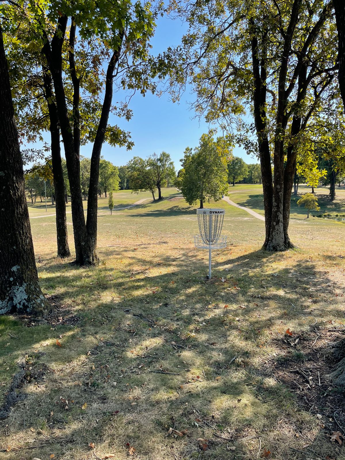 Hole 3’s basket