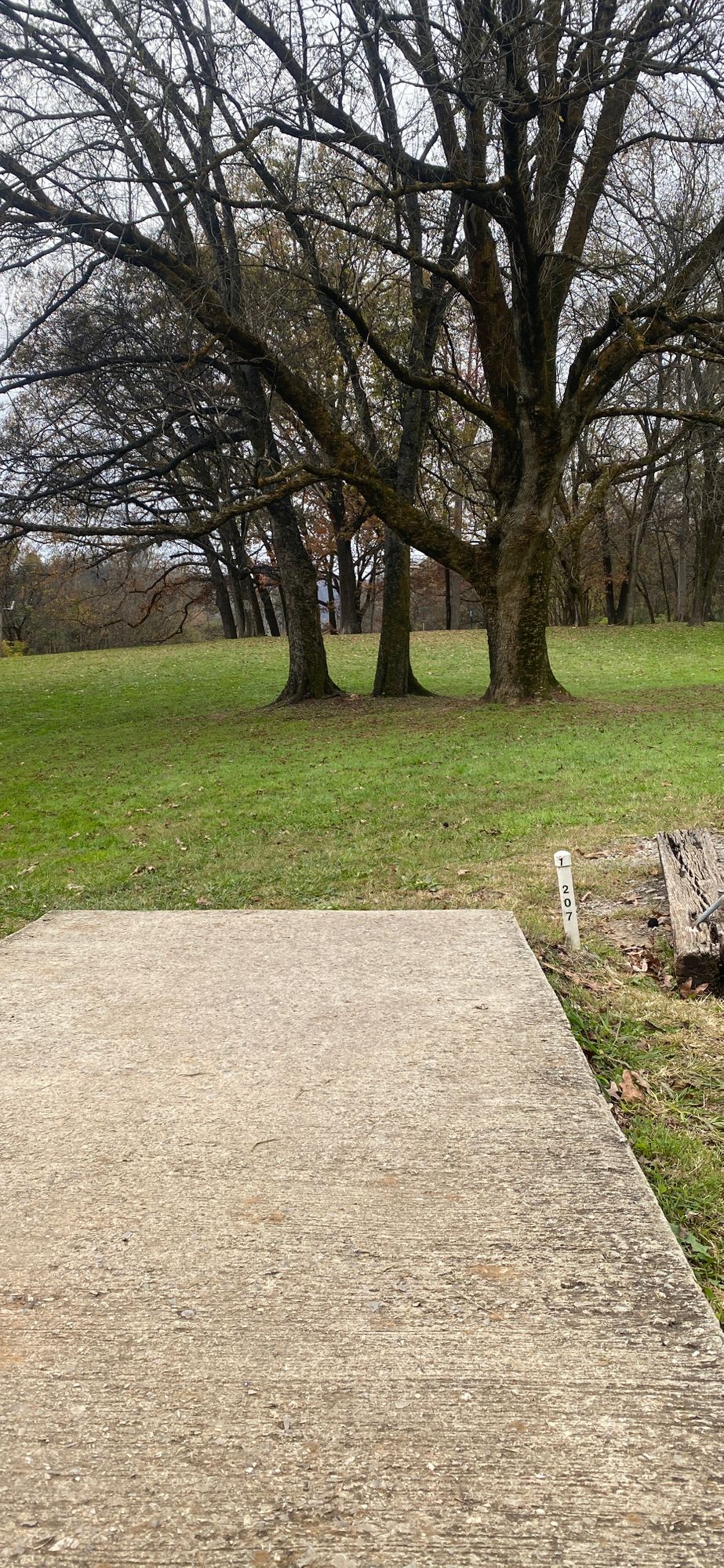 Hole 1. Basket is through the trees and on top of the hill.
