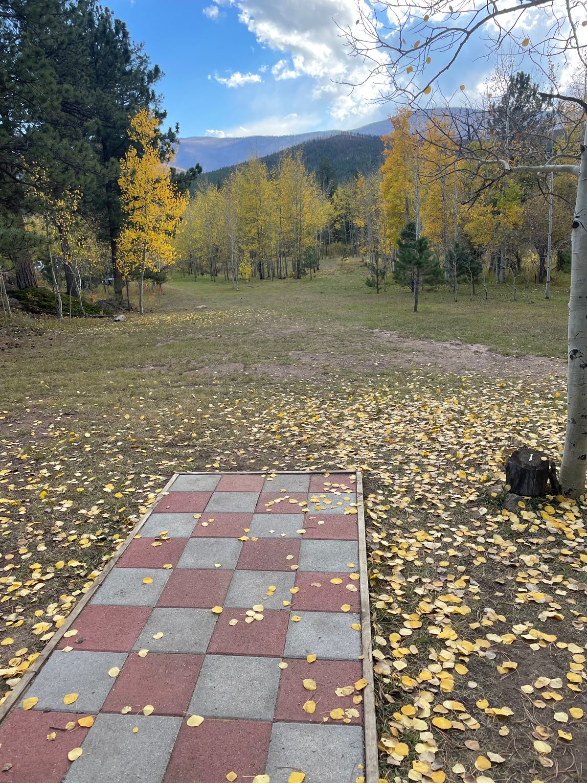 Hole 1 Teepad