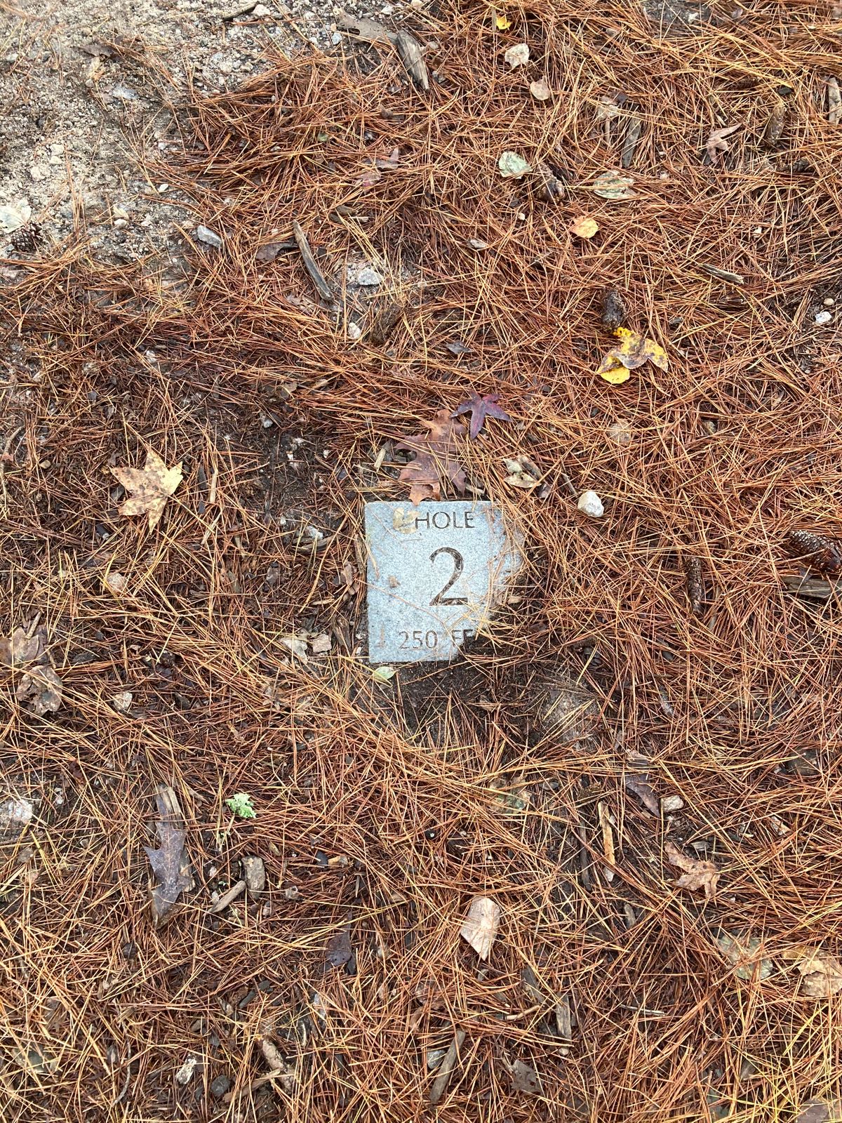 Tee markers
