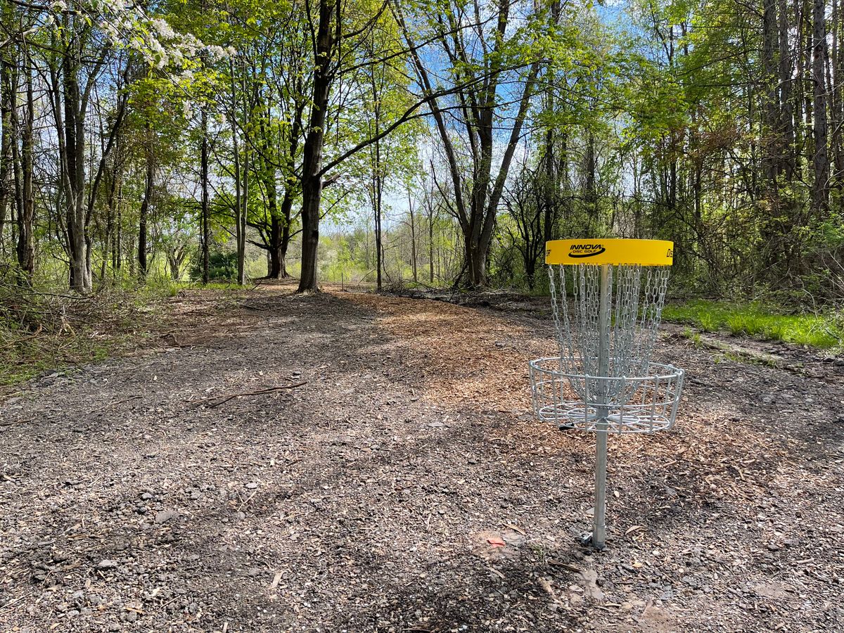 Hole 14 Basket to Tee