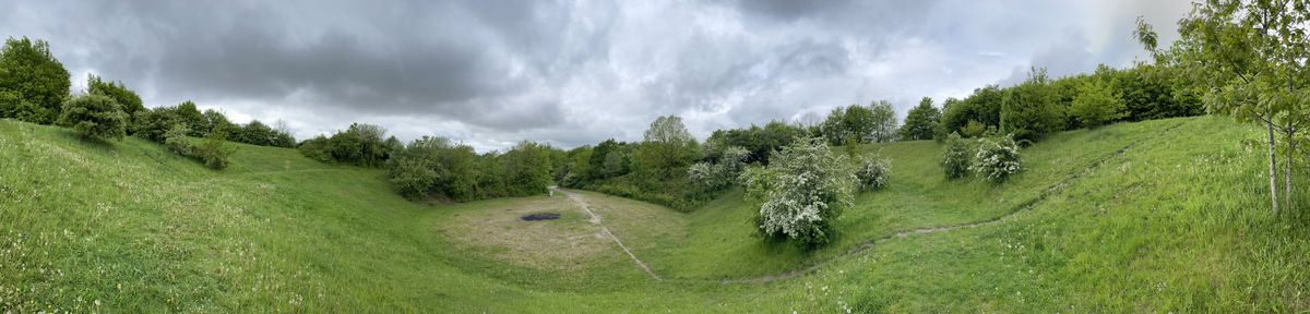 The bowl!
