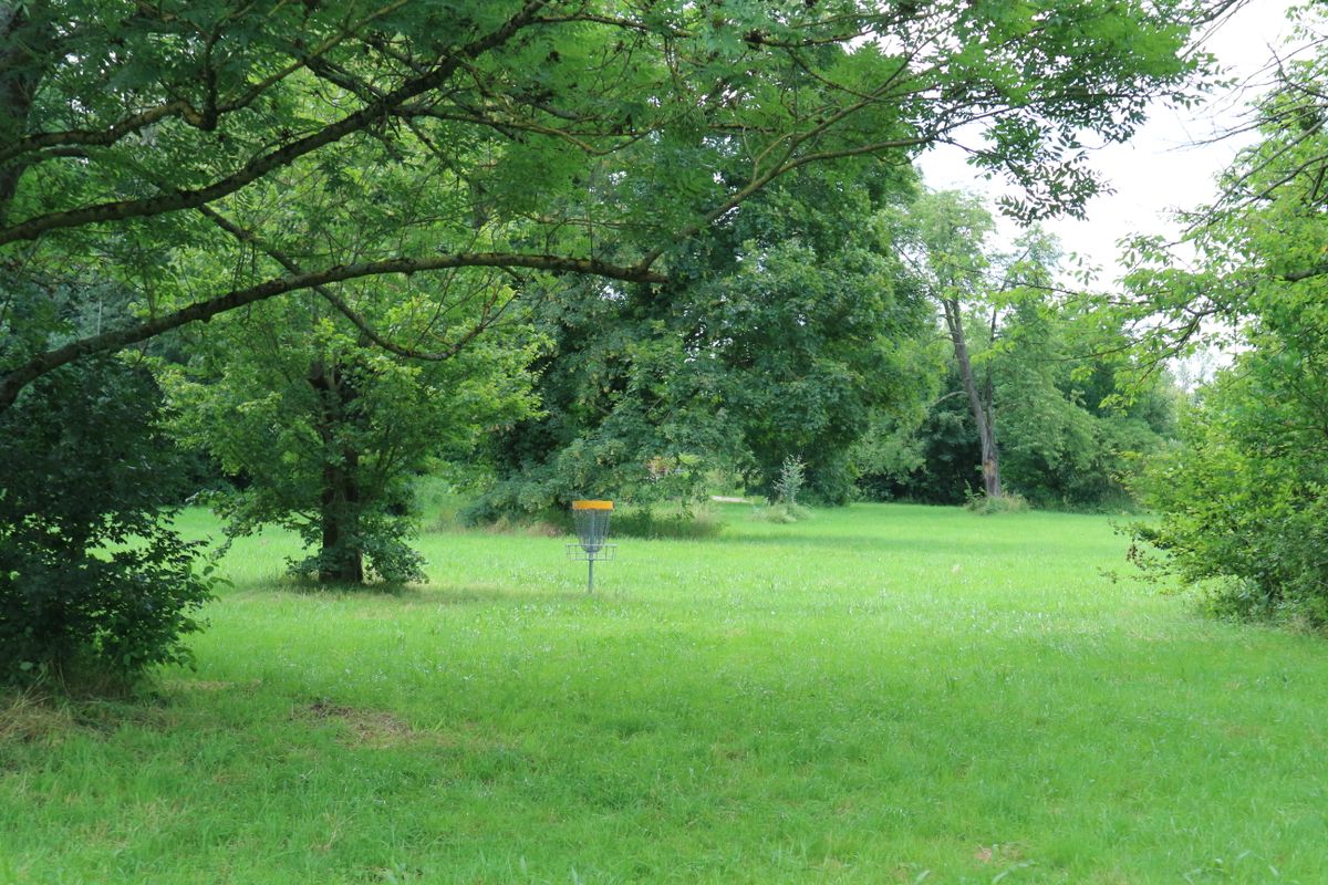 Basket from hole 17