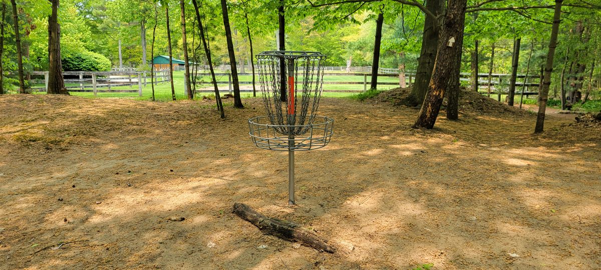 Hole 12 green