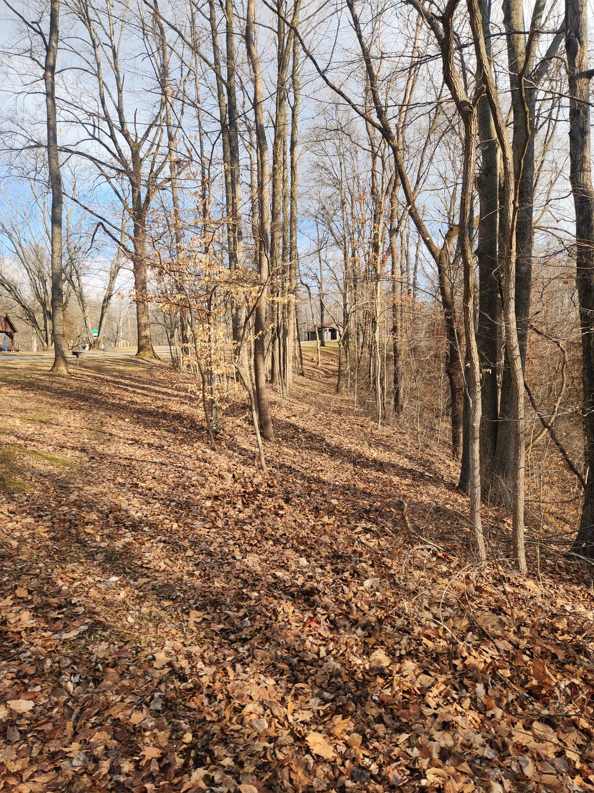 Hole 18 - play it safe around open left side, or gamble and shoot the straight tunnel gap to basket.