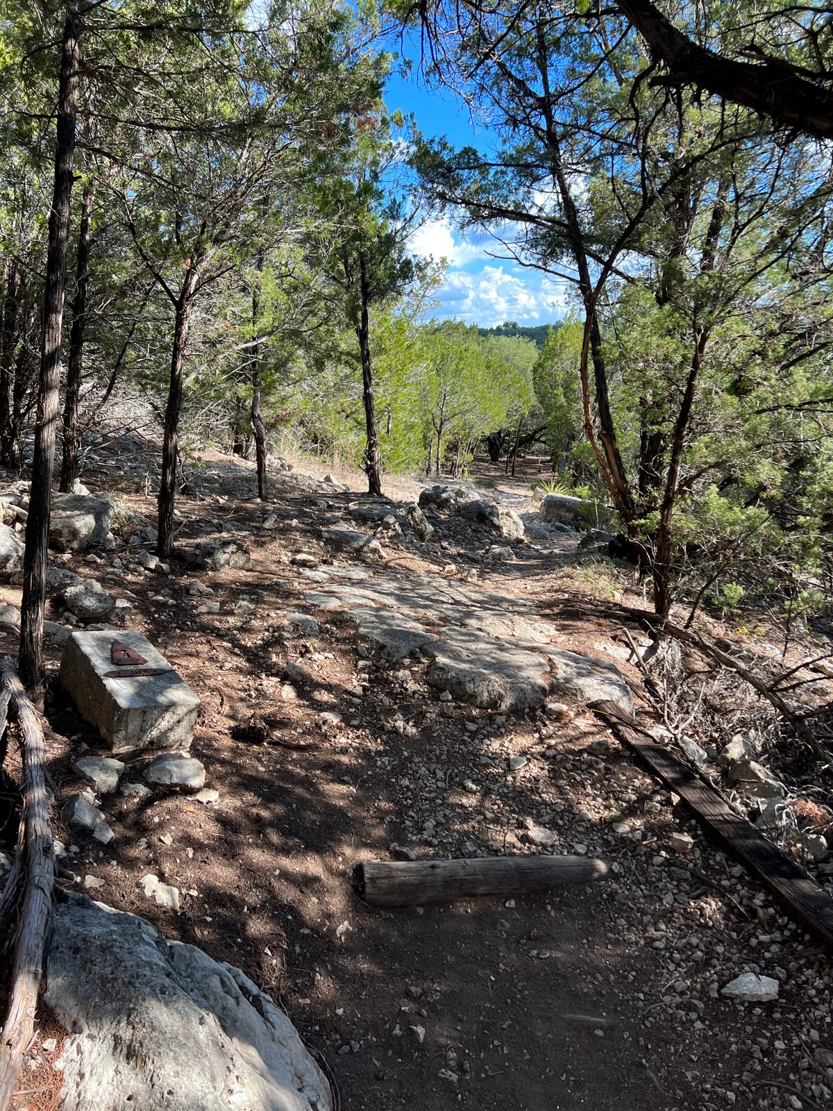 Hole #6 Main Tee