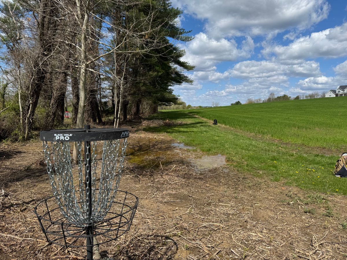 Hole 3 basket towards tee