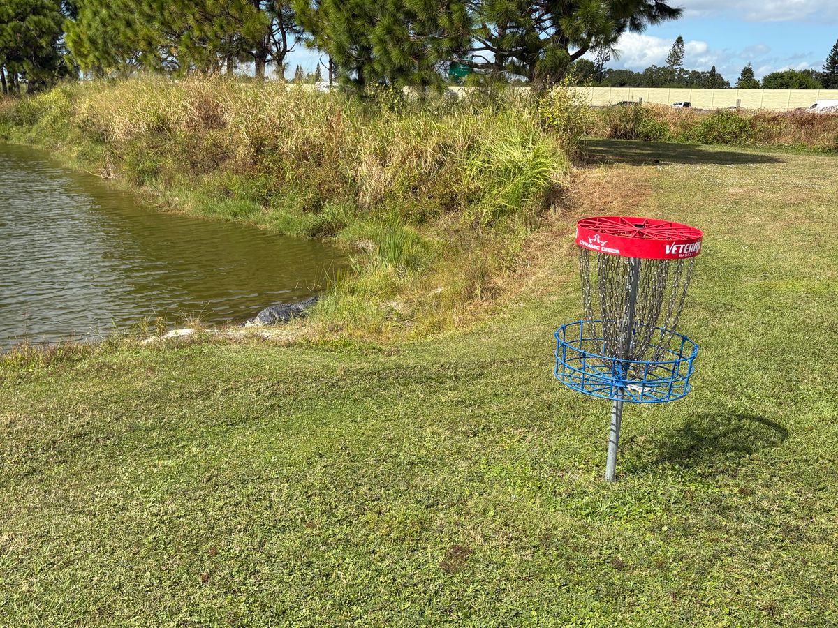 Watch gator. He will fetch your disc for you 😁