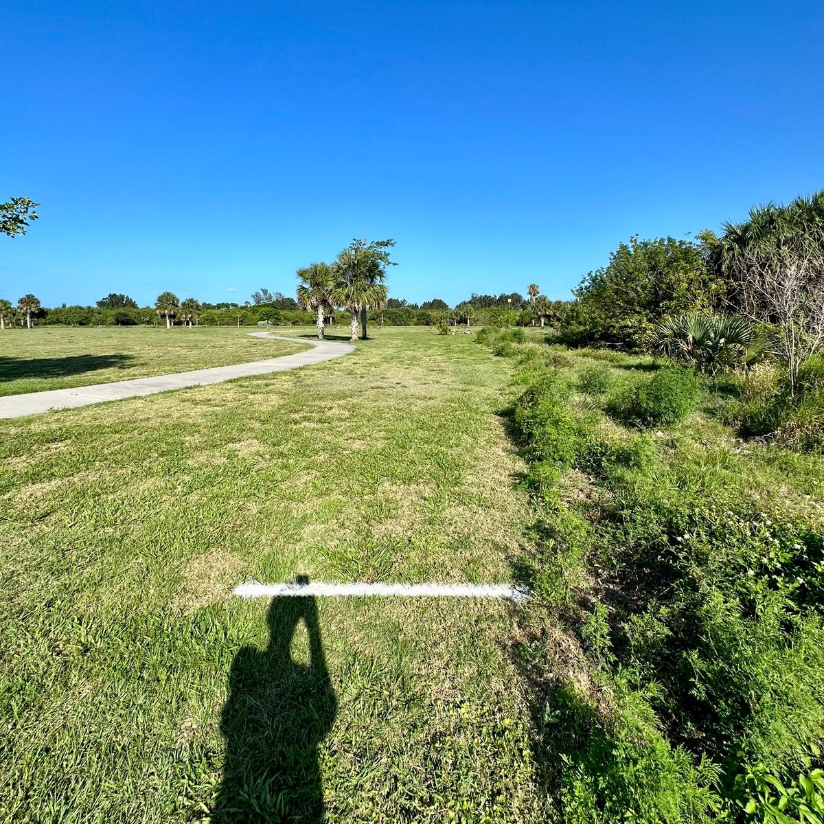Hole 4 white