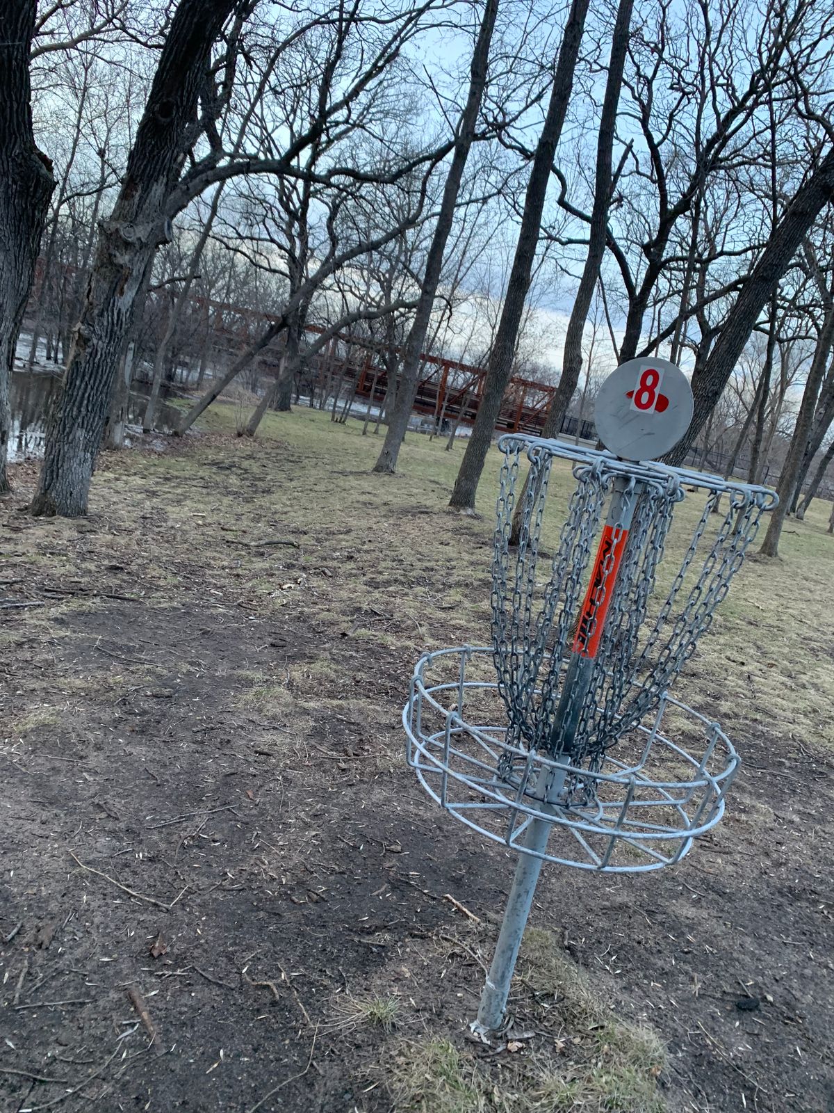 View of hole 8 basket.