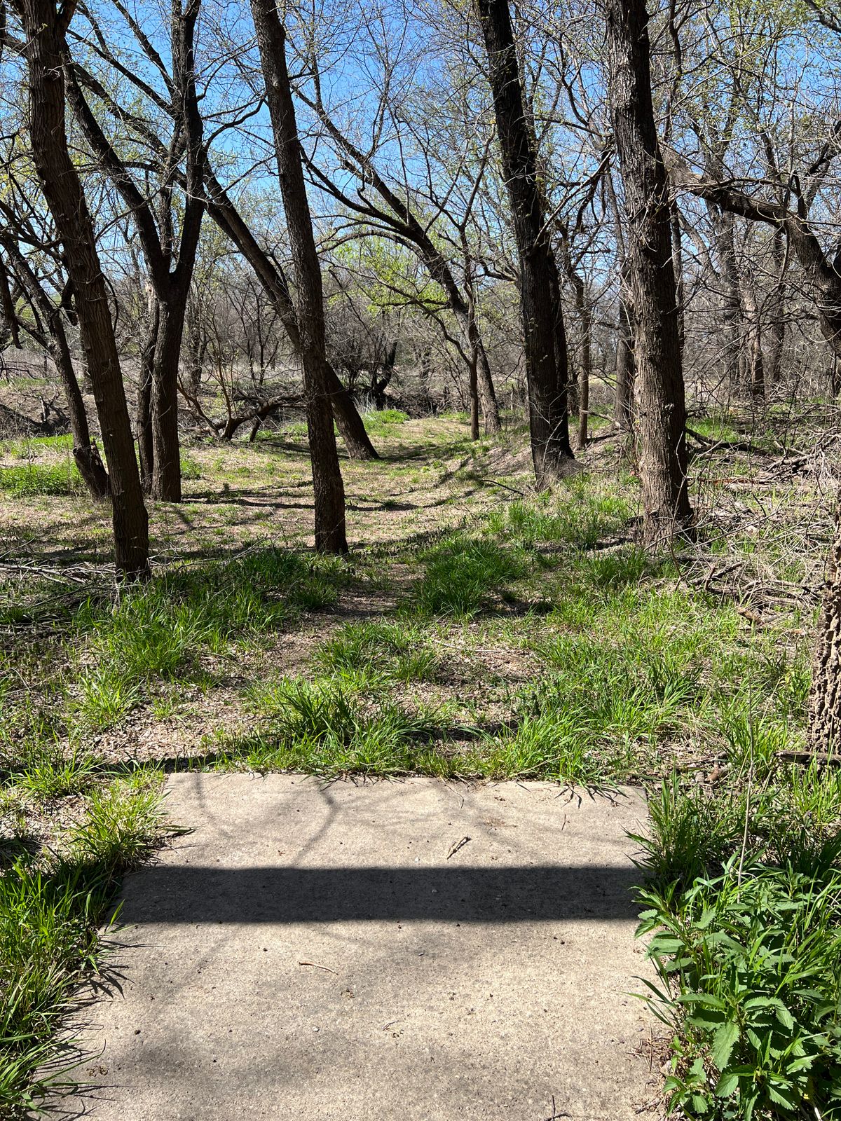 Hole 5