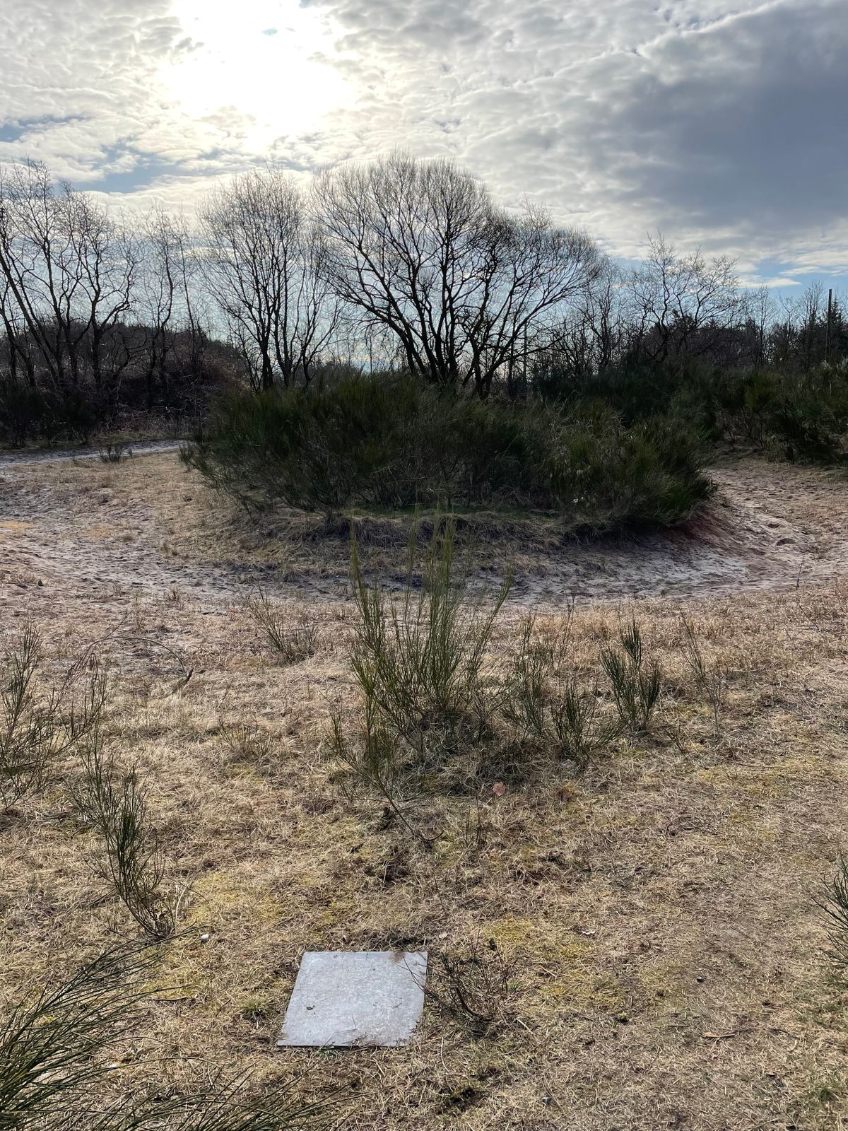 Teeshot Hole 7