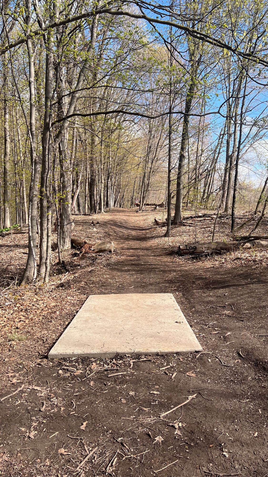 Hole 14 long tee pad