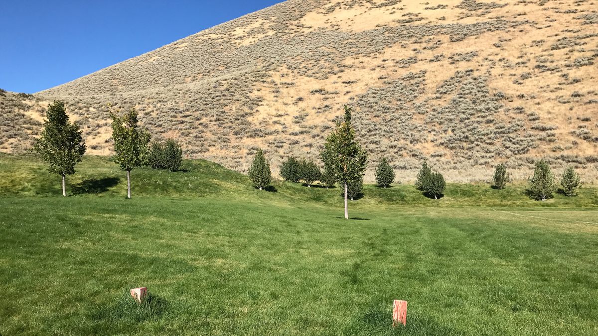 Hole 2