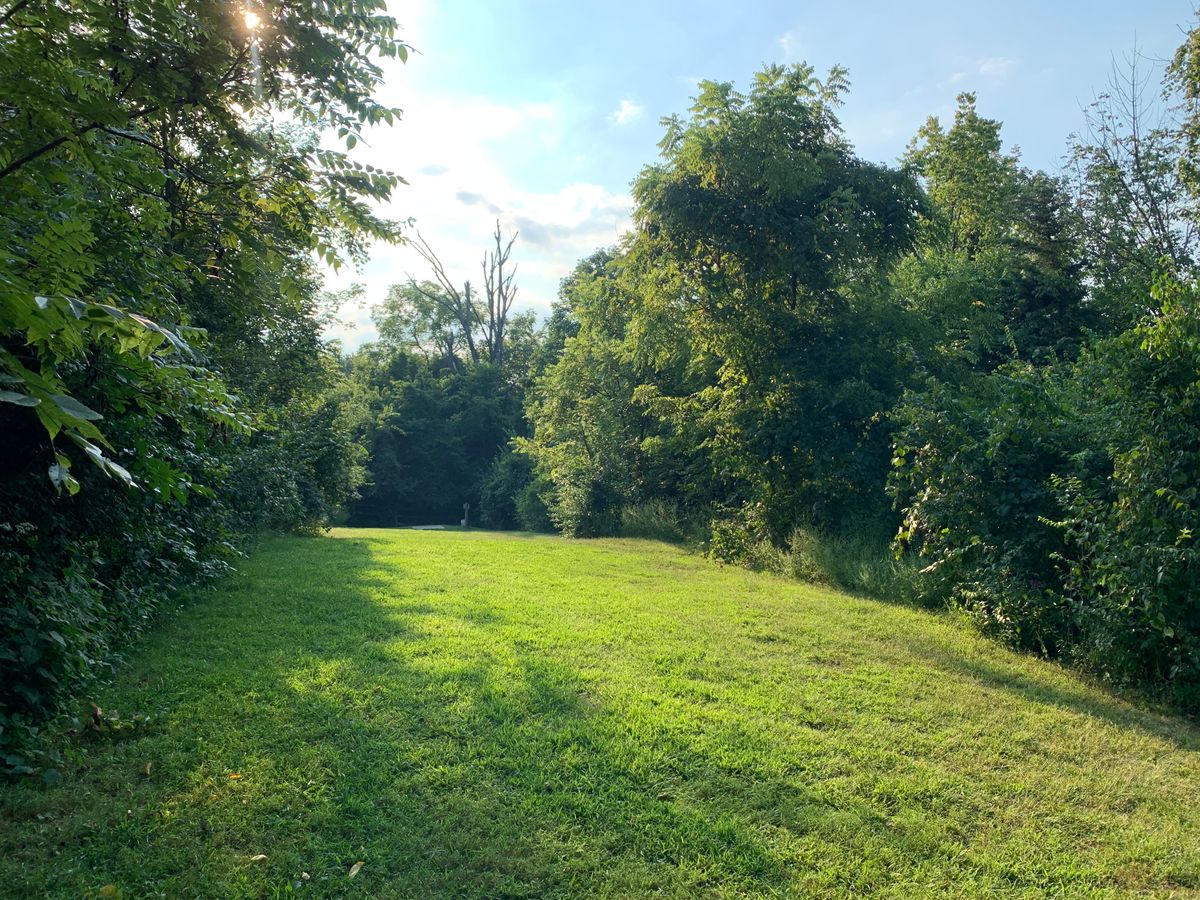 Looking back toward the tee pad from the fairway