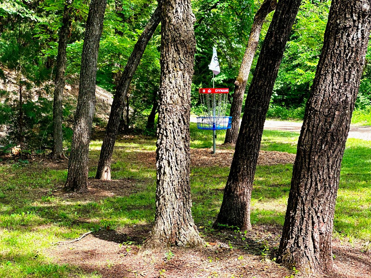 Hole 8: "Wally" green