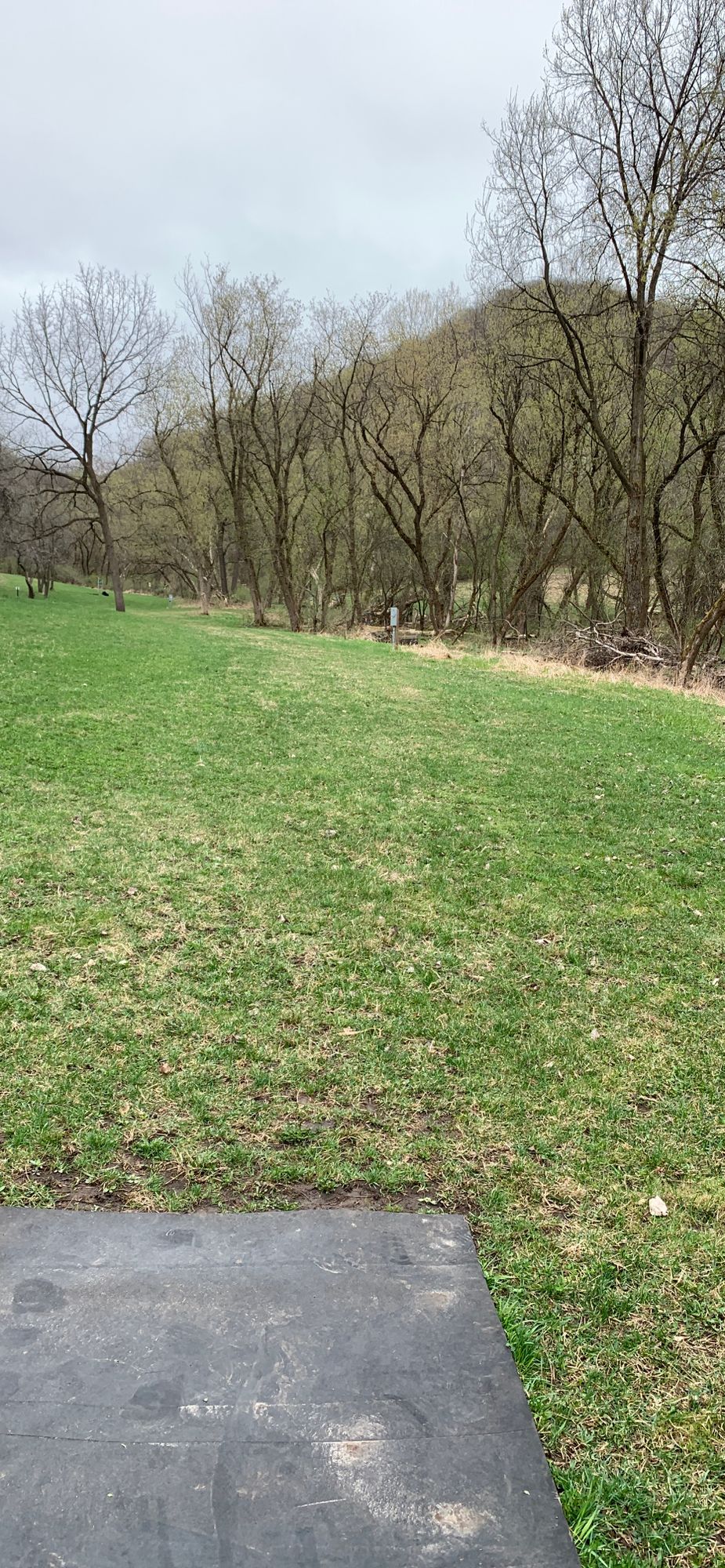Hole 7 tee