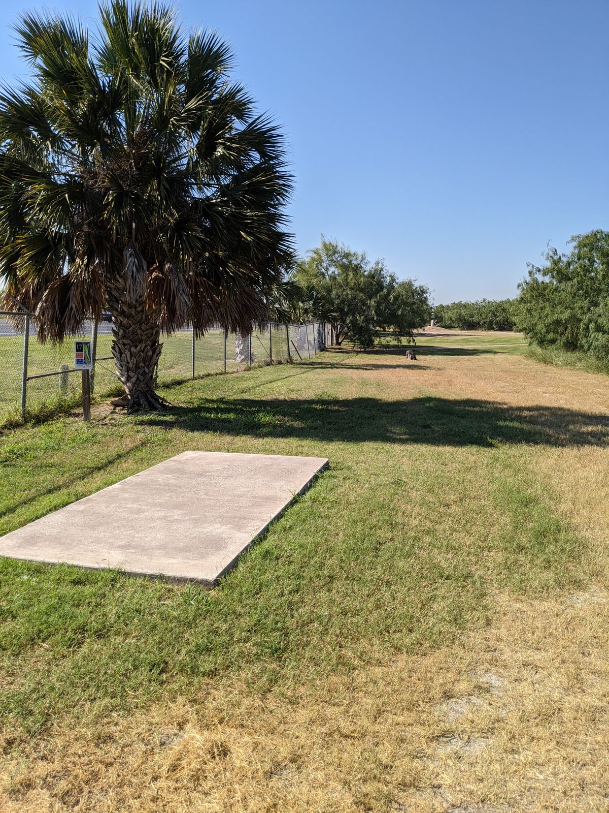 #17 short tee pad