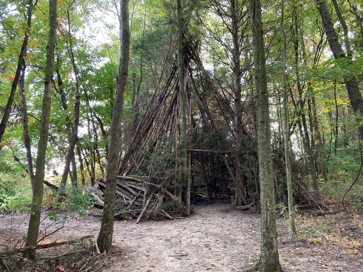 Random tree fort