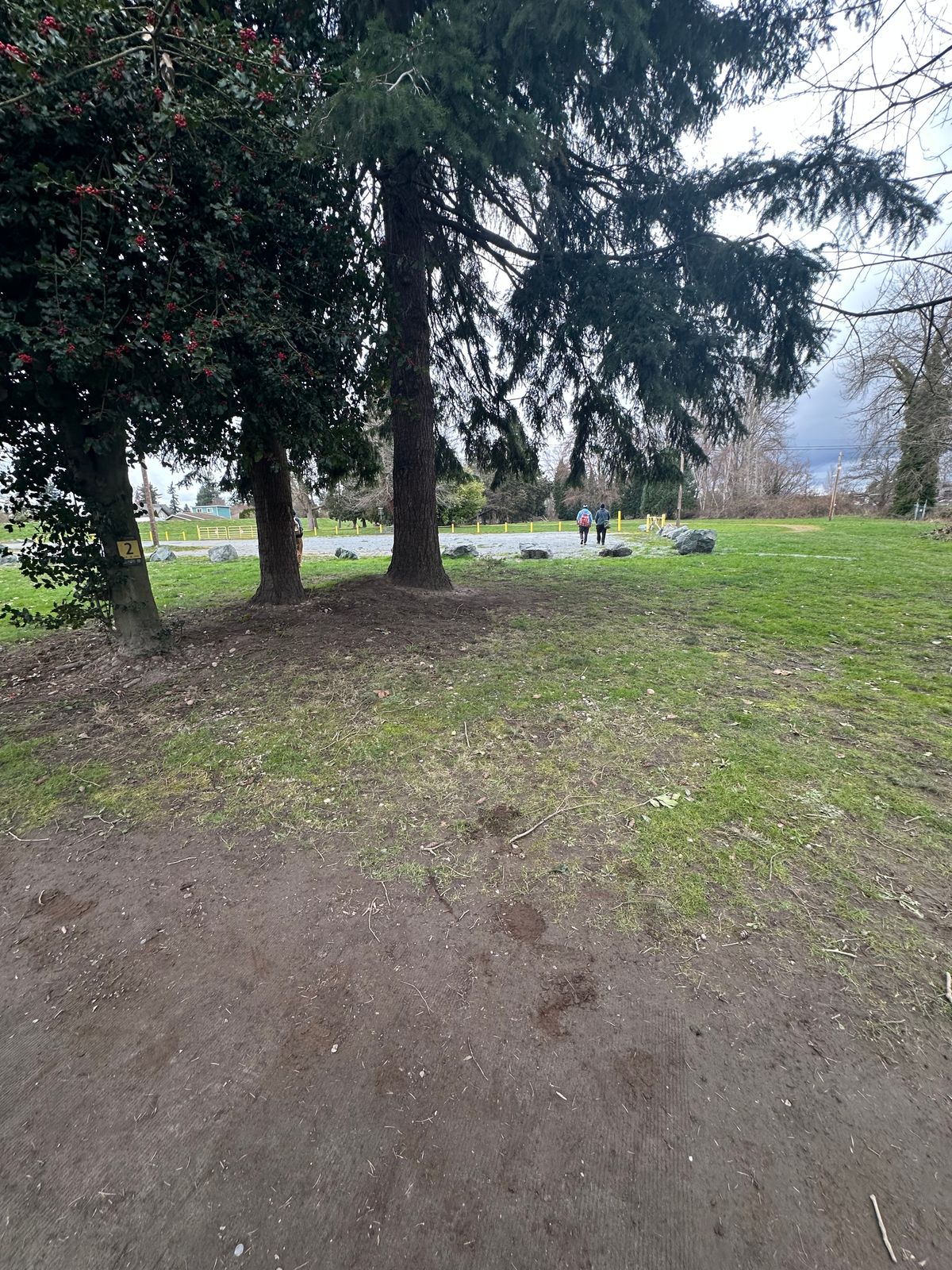 Edgewater extralongs tee pad 25