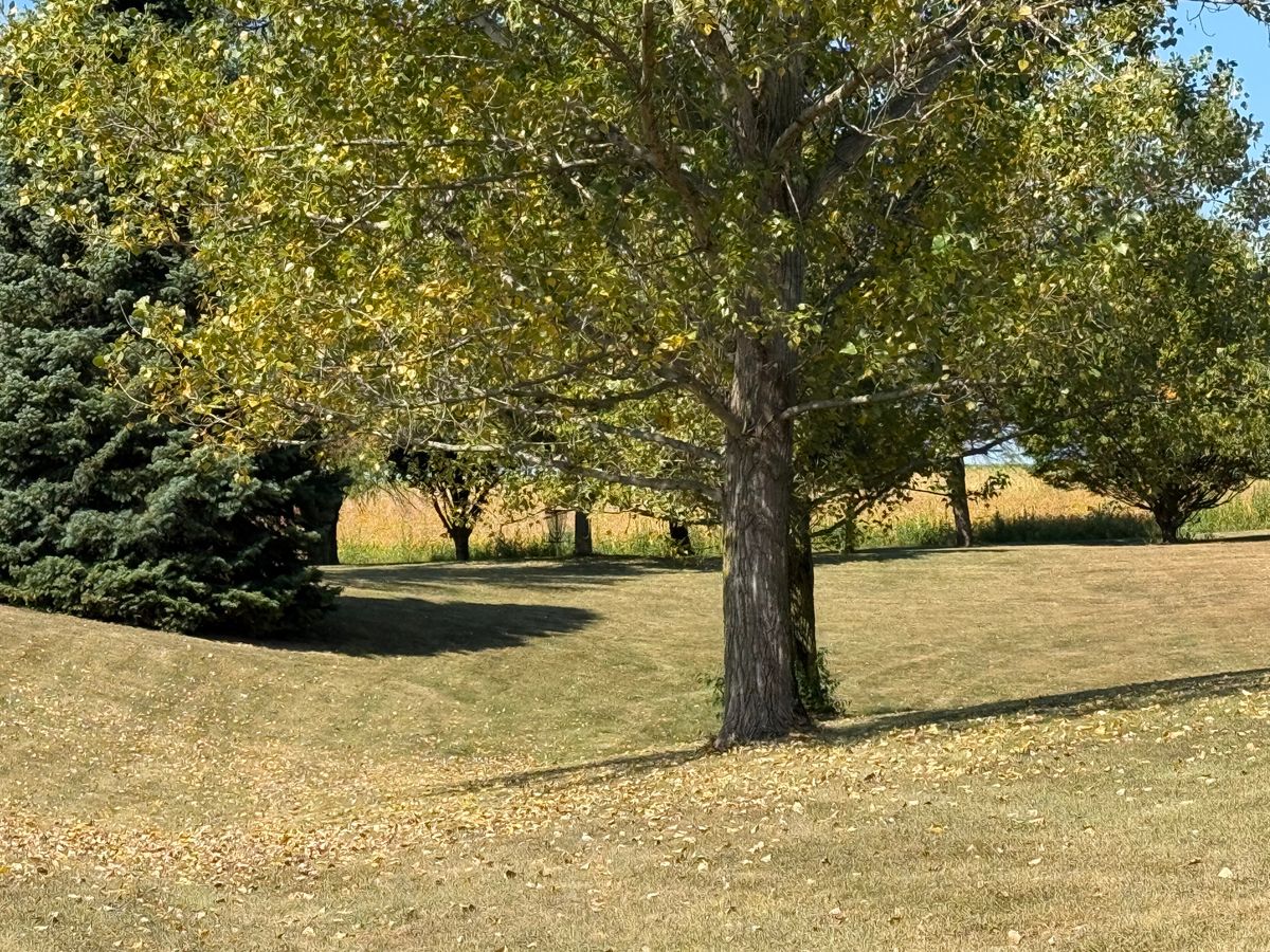 Hole 3