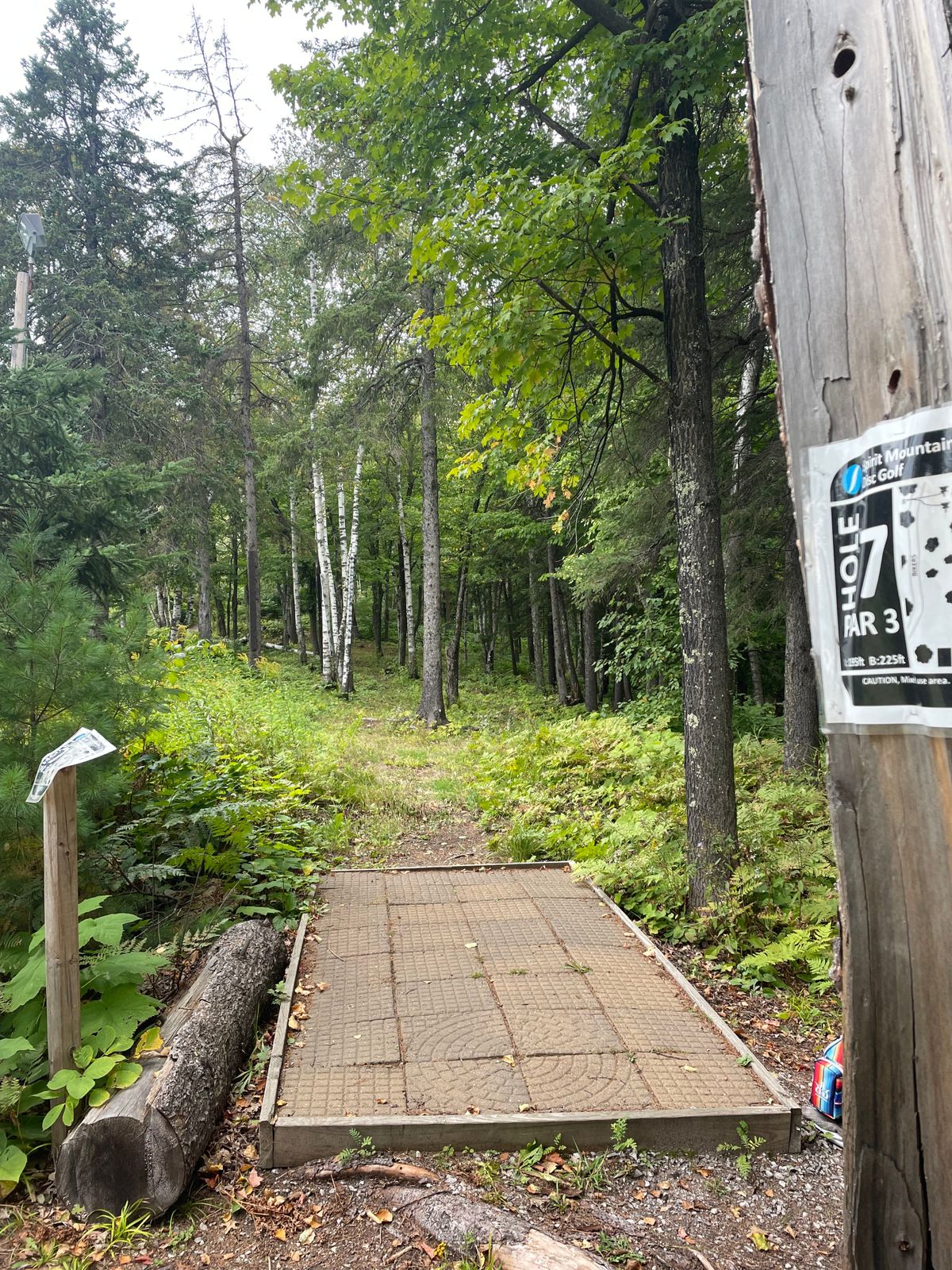 Hole 7, basket is on left