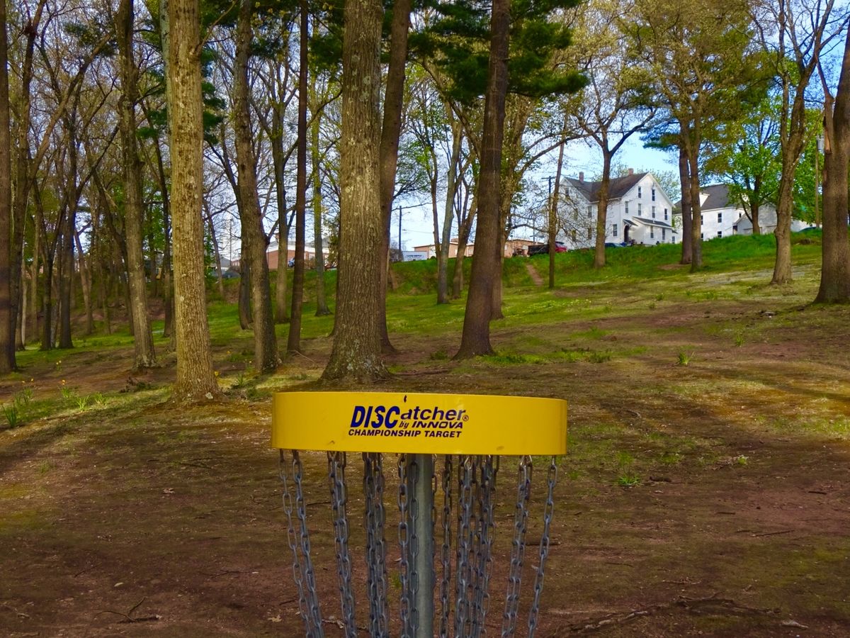 Hole 6B basket looking back at the tee