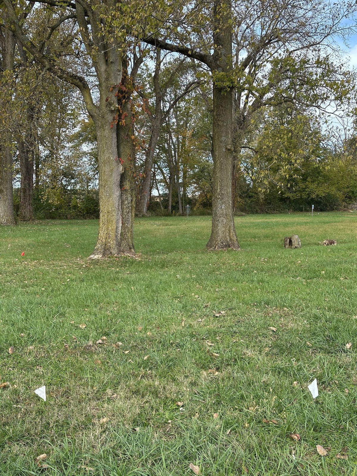 Hole 5 Long and its double mando