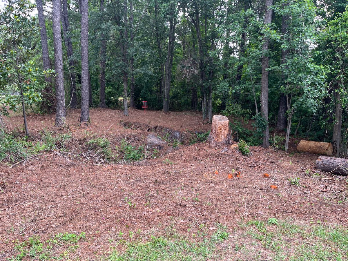 #13 Valley - now deadfall free and multiple crossing paths available & orange trip hazards marked