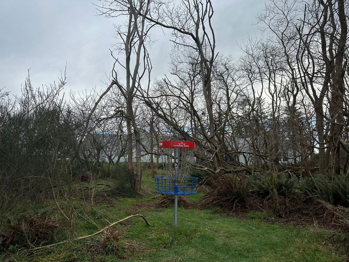 Hole 9 basket on 2/8/24