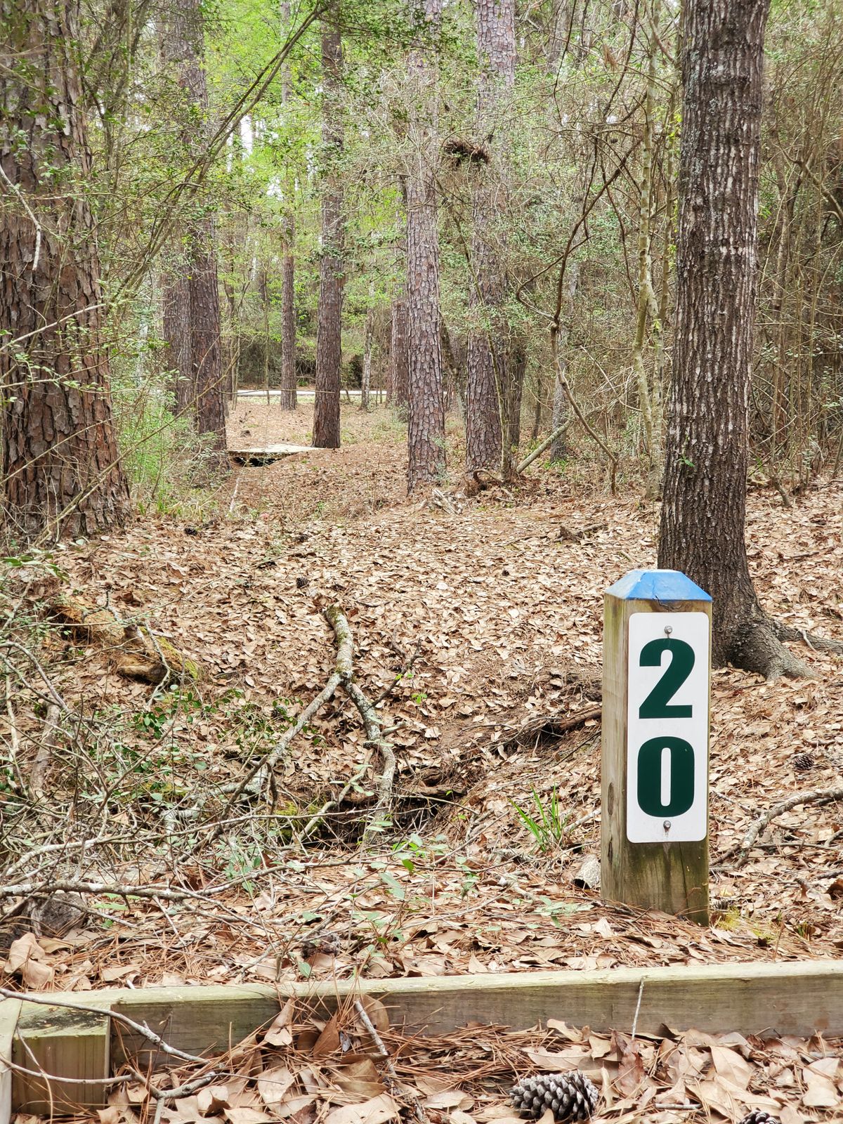 Hole 20 blue tee