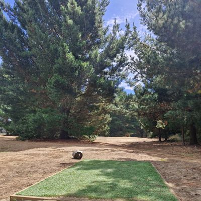 4s tee pad. The typical turf tees amongst the sandy pine forests