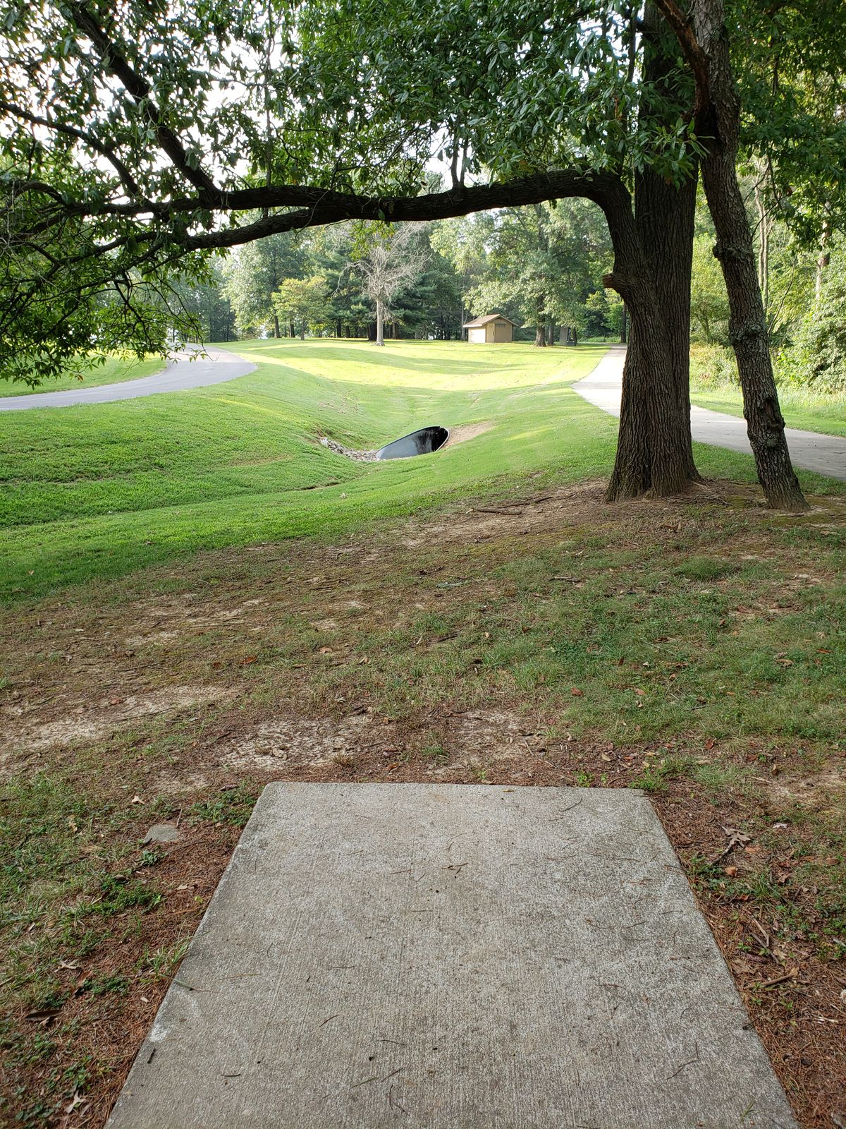 #2 Tee-Pad and Fairway