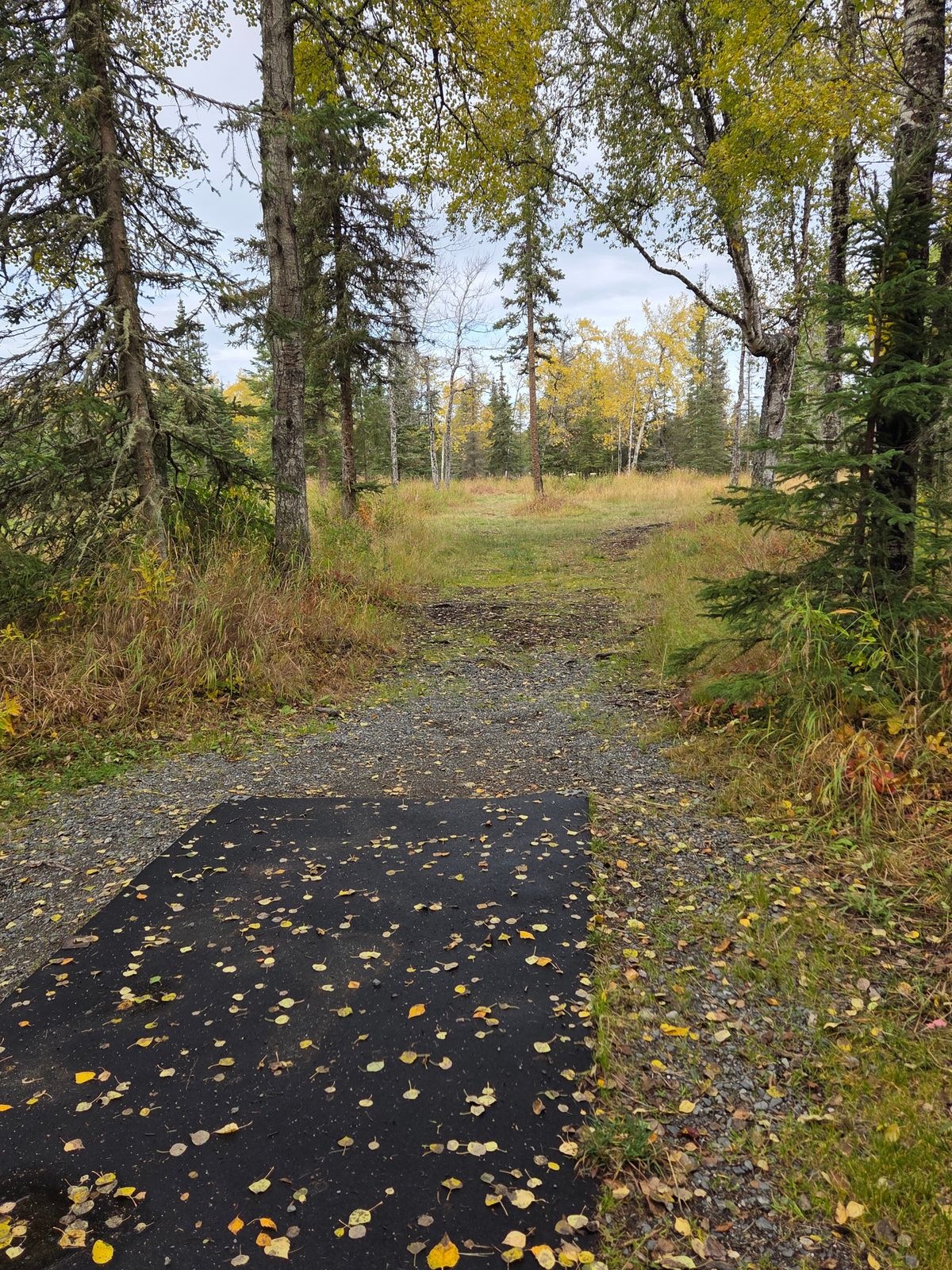 #13 tee pad and fairway