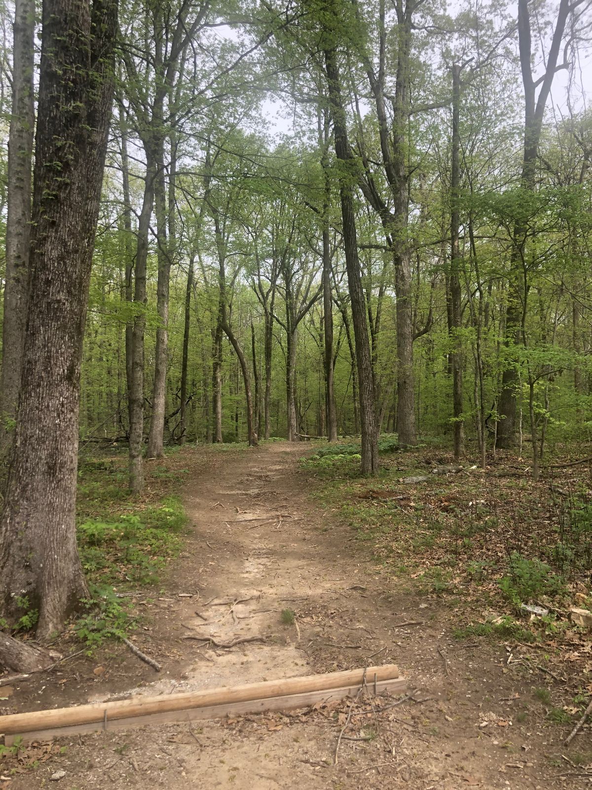 Hole 5