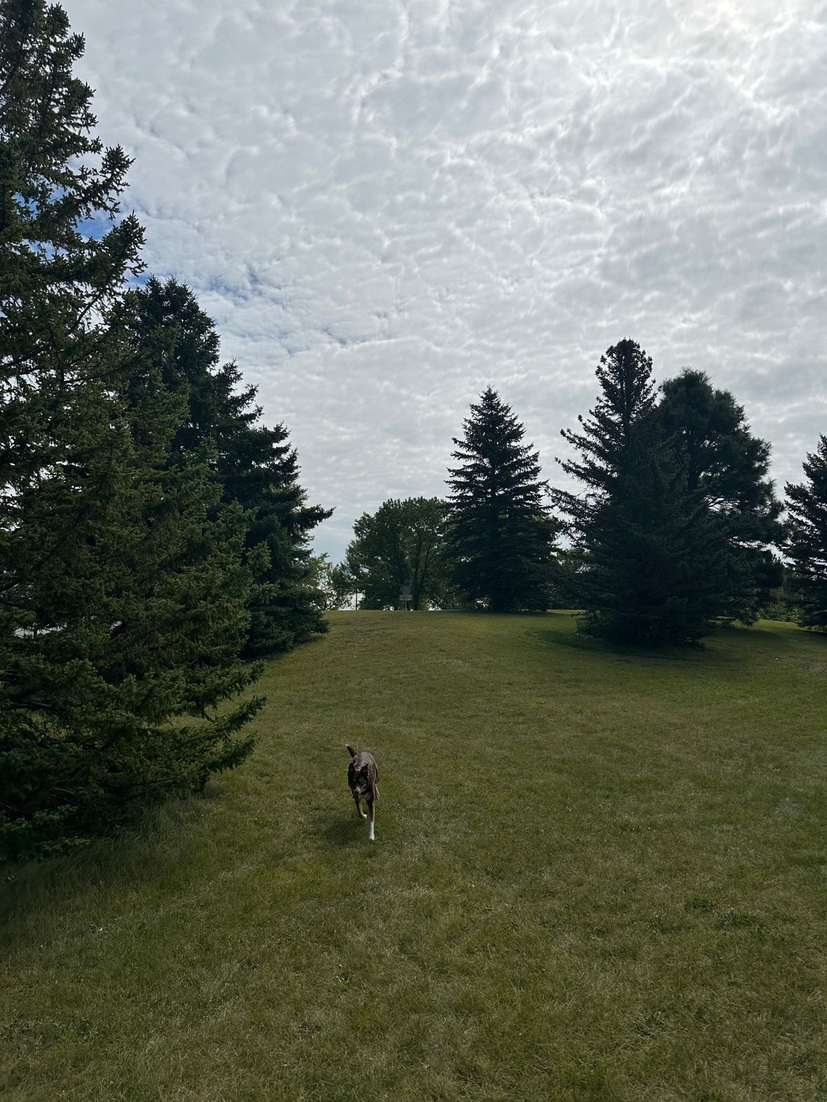 Hole 7