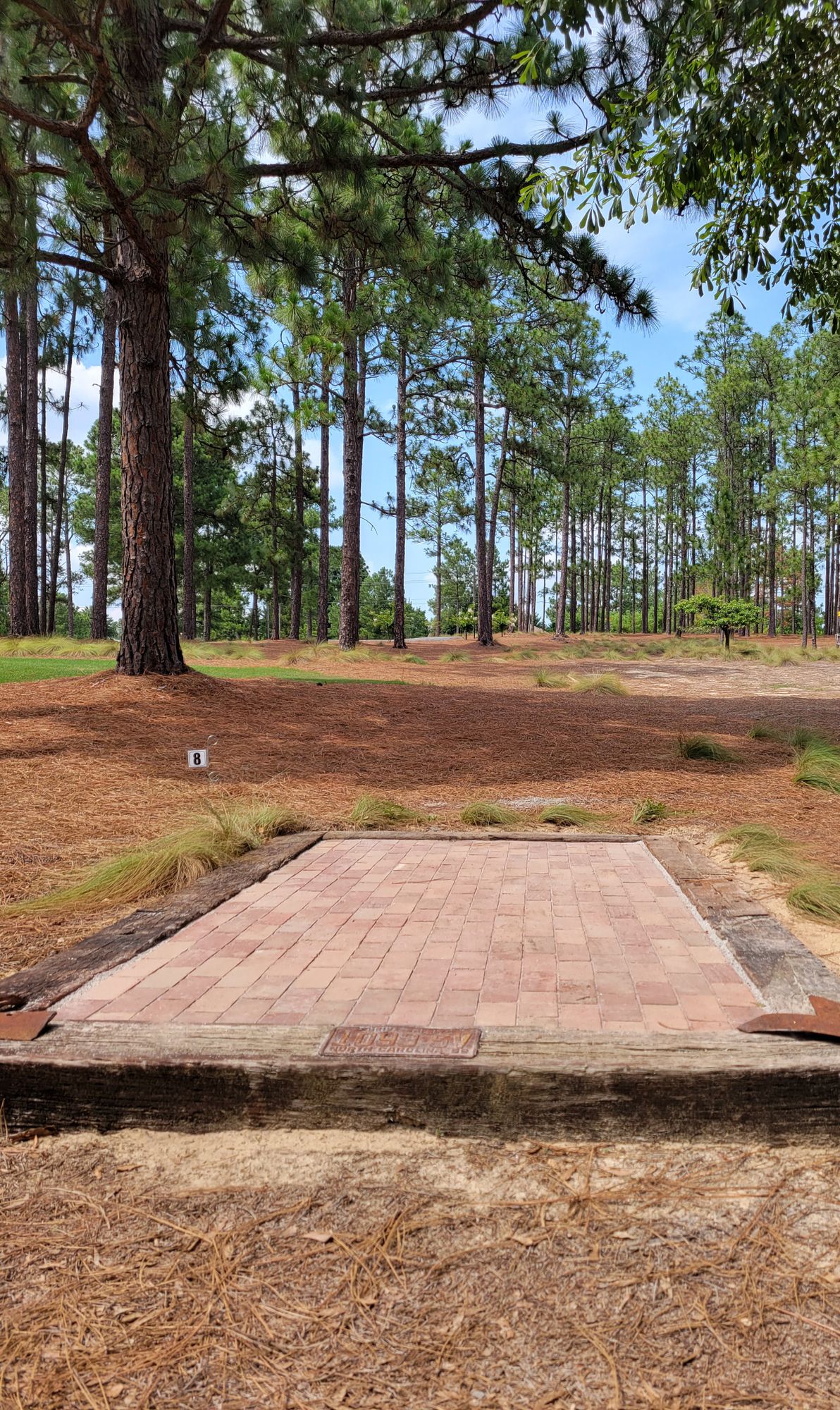 Brick tee pad on 8 short