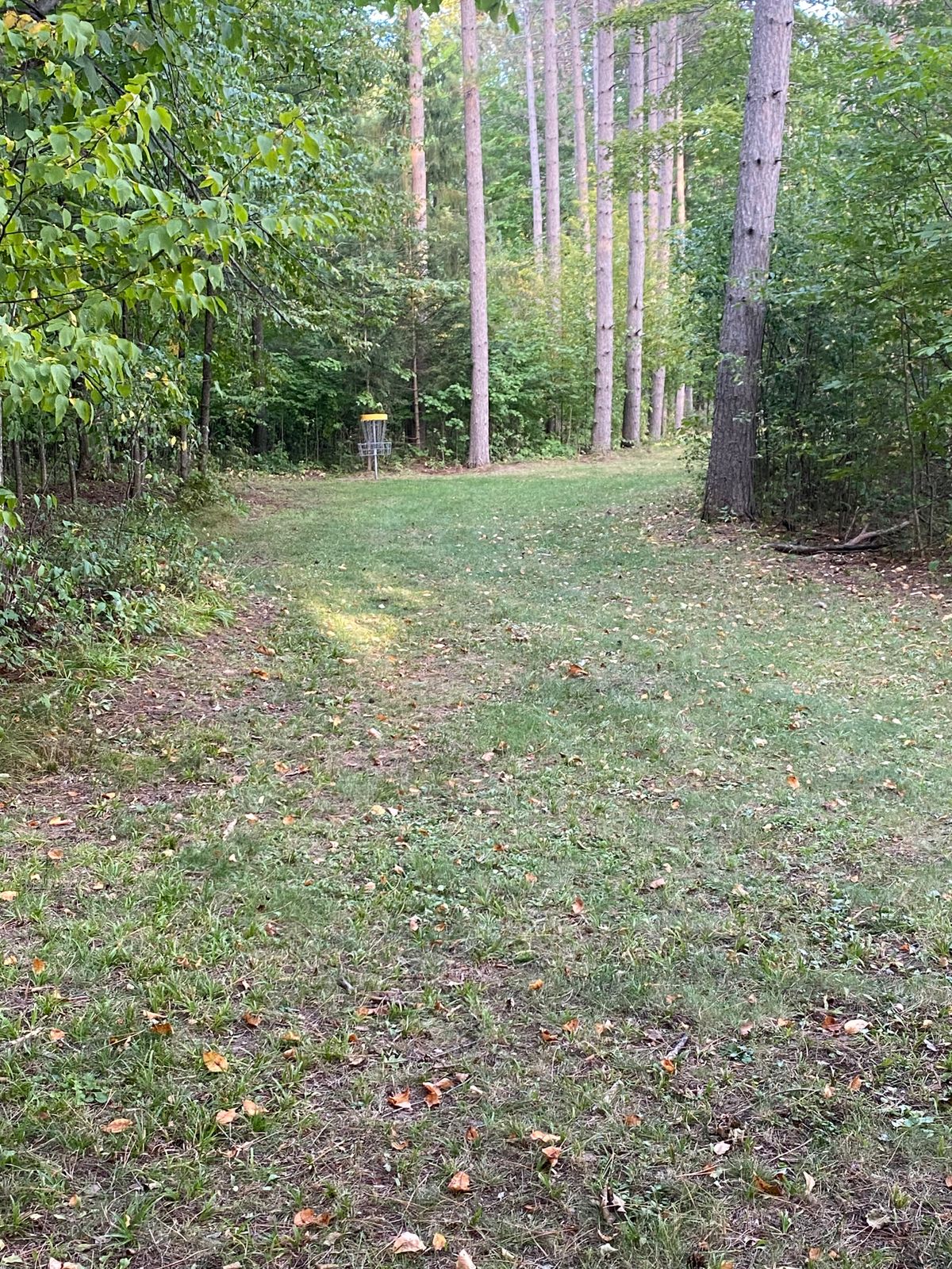 Fairway on hole 6.